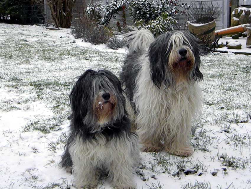 Februar 2011