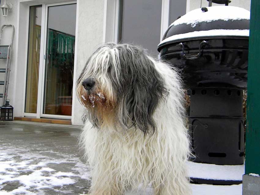 Februar 2011