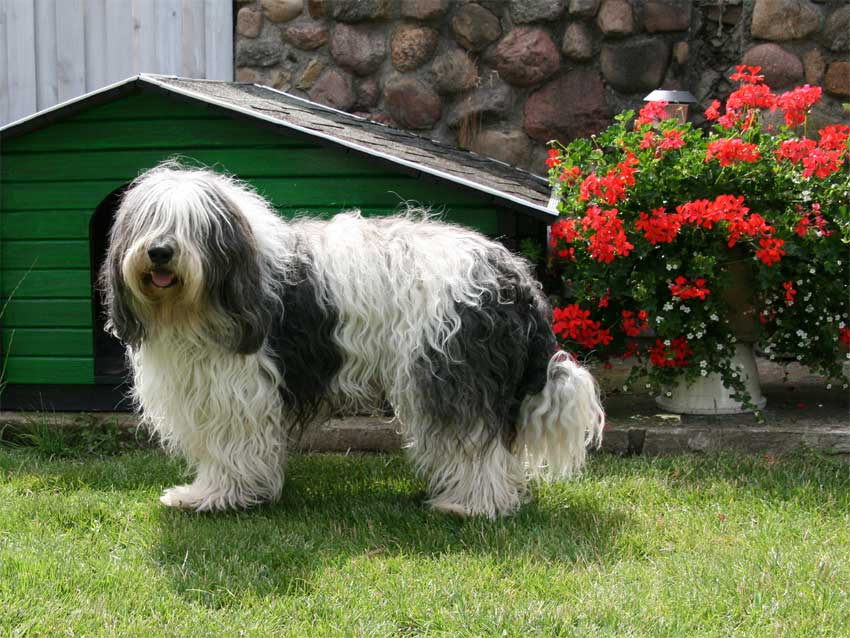 Juli 2009