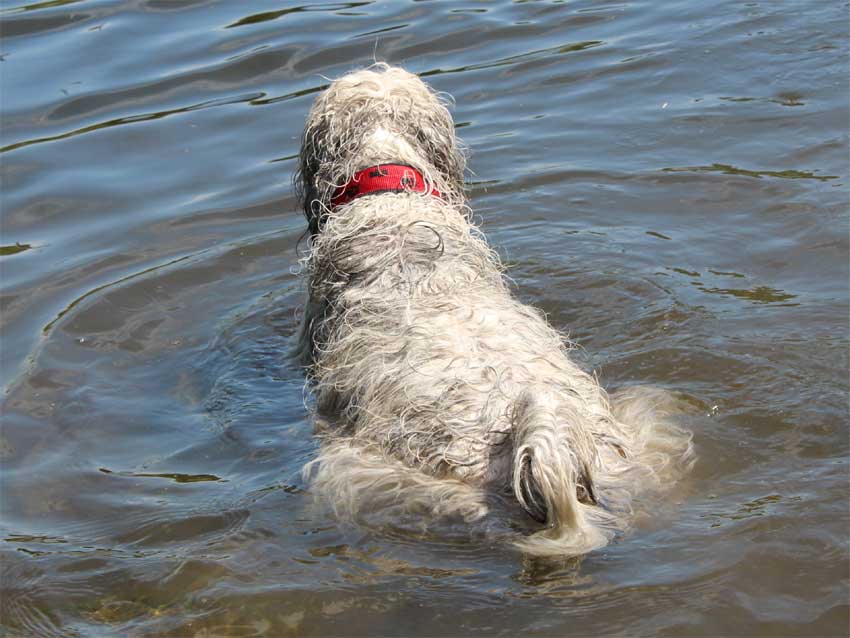 Juni 2012 - Aber was solls!