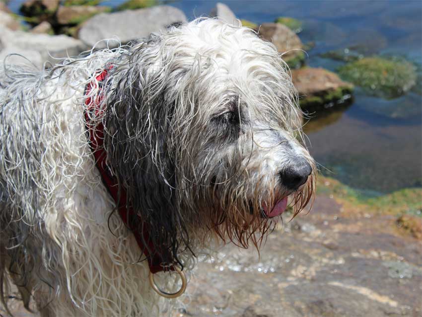 Juni 2012 - Man ich seh aus!