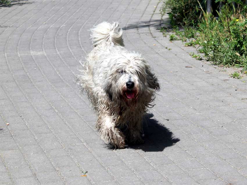 Juni 2012 - Badegang !