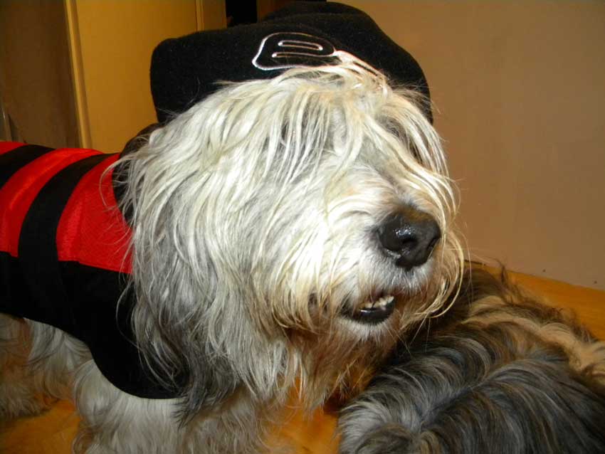 Dezember 2010 - Ganz sch�n kalt heute!