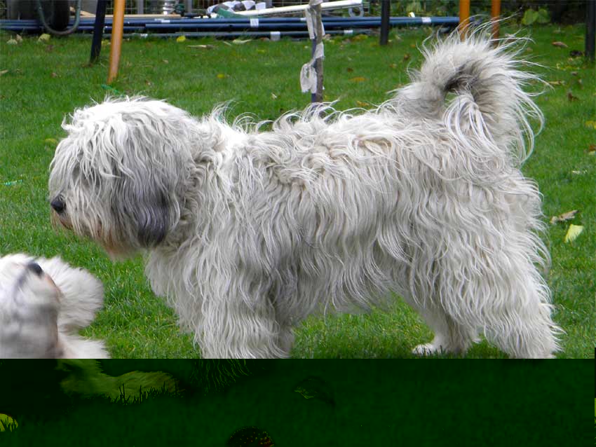 September 2010 - Toben !