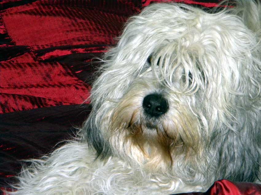 Januar 2010 - echt gem�tlich !