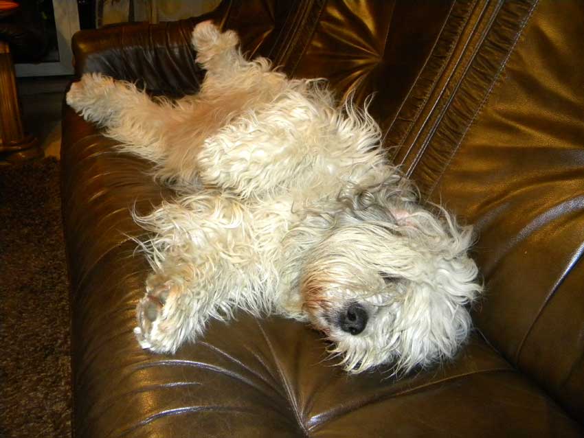 M�rz 2010 - auch gem�tlich !