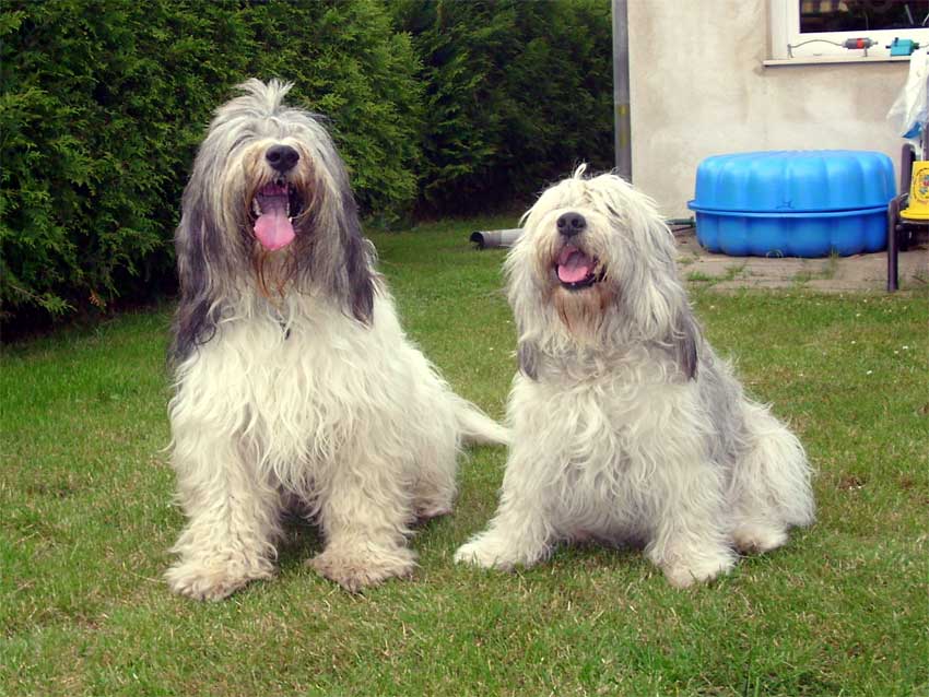 April 2010  Besuch bei Billy