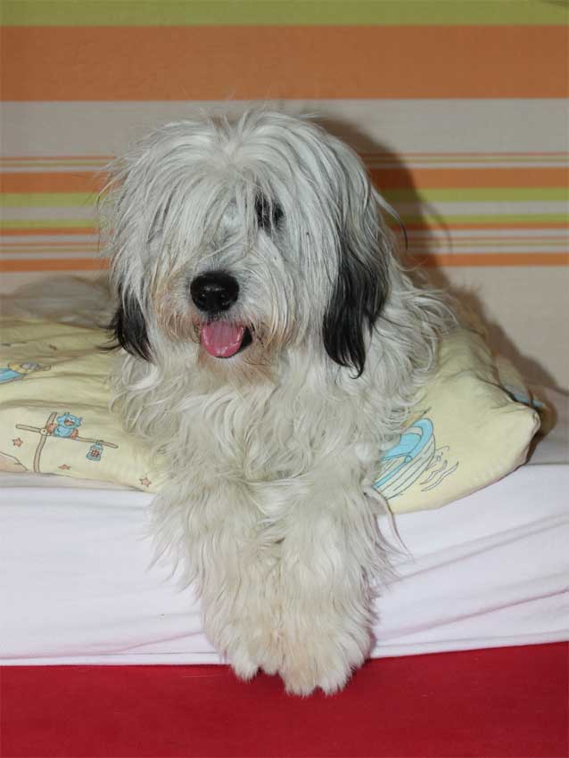 Okt. 2012 - Kiwi machts sich gem�tlich