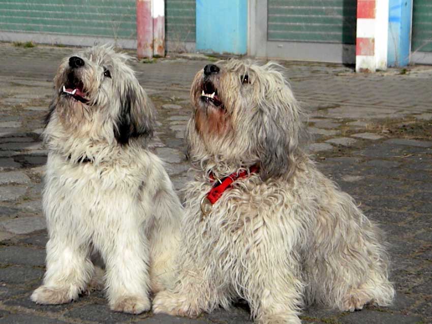 Juli 2012 - Kiwi und Wanda