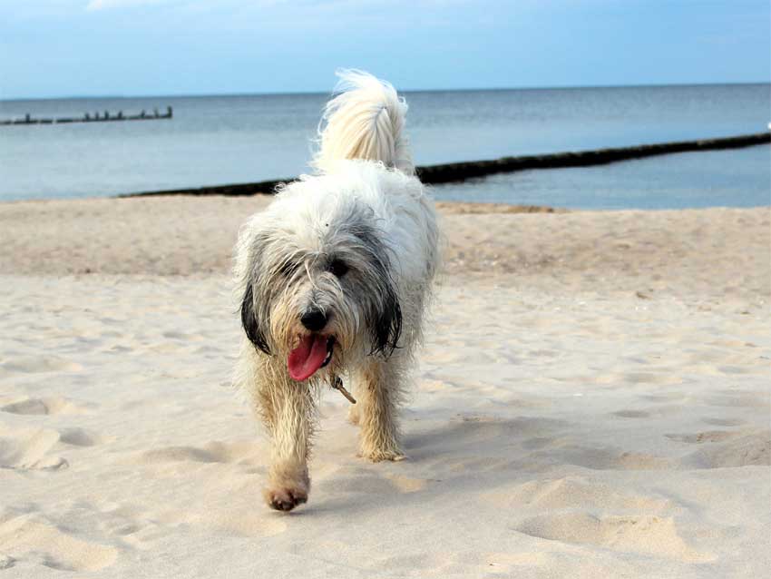 Oktober 2012 - Usedom