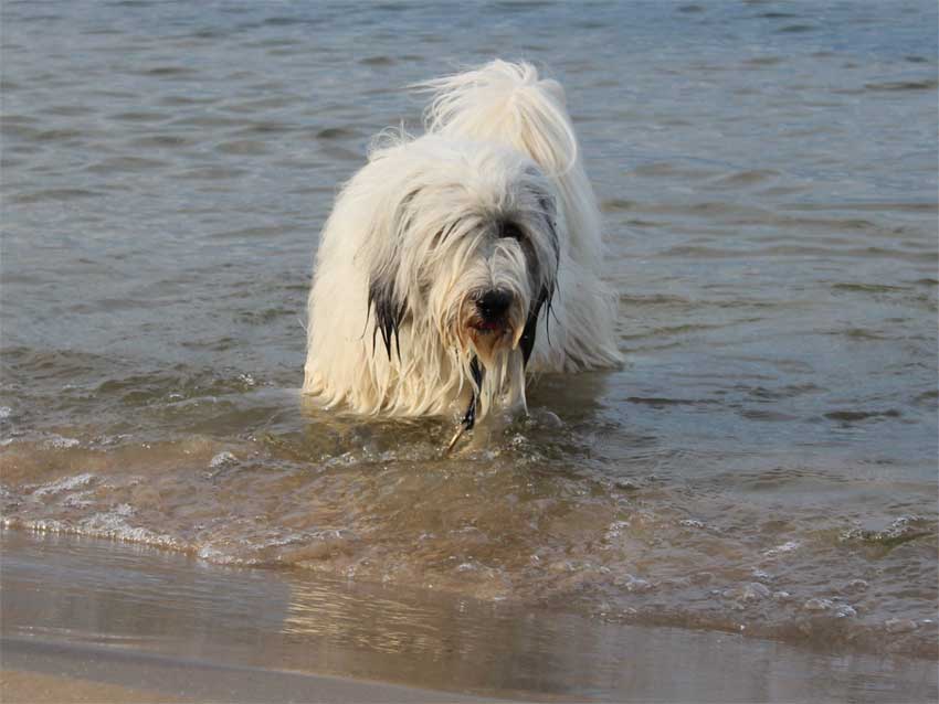 Oktober 2012 - Usedom