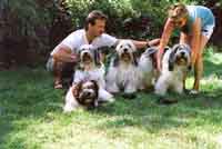 Unsere Hunde und Birgit und Andreas