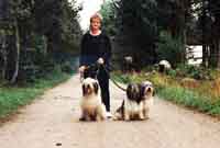 Cico, Cira, Caris und Ines