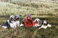 Unsere Hunde, Bojar und Antonia