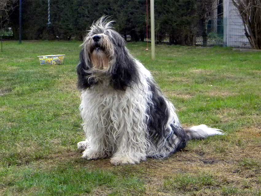 April 2010 - Aschi schimpt immer noch!