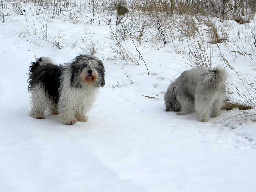 Februar 2010 Schnee ist toll !