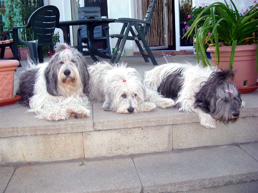 08-2009 schon wieder die Treppe - (-: