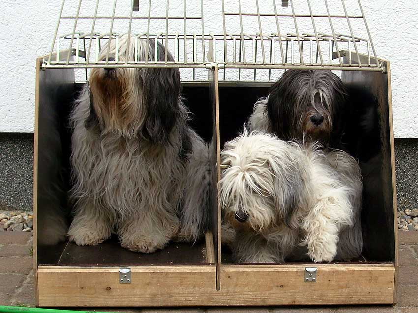 Wo ist unser 3.es Apartment hin!