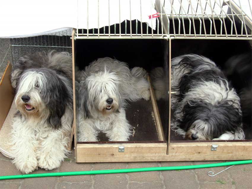 Und tauschen die Pl�tze