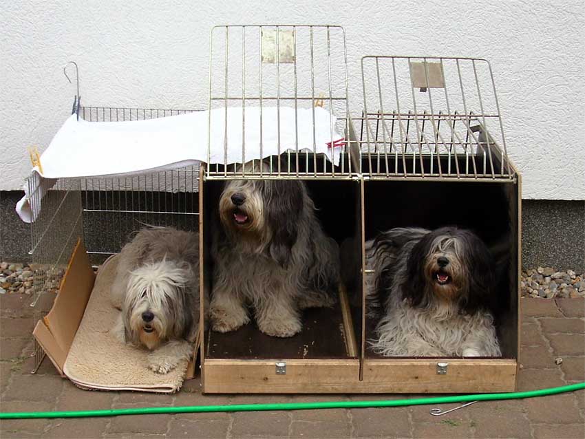 M�rz 2009 - Wir haben anbauen lassen! 