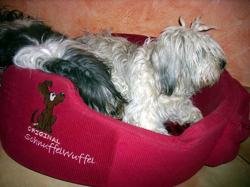 M�rz 2009 - Aschi und Wanda spielen 