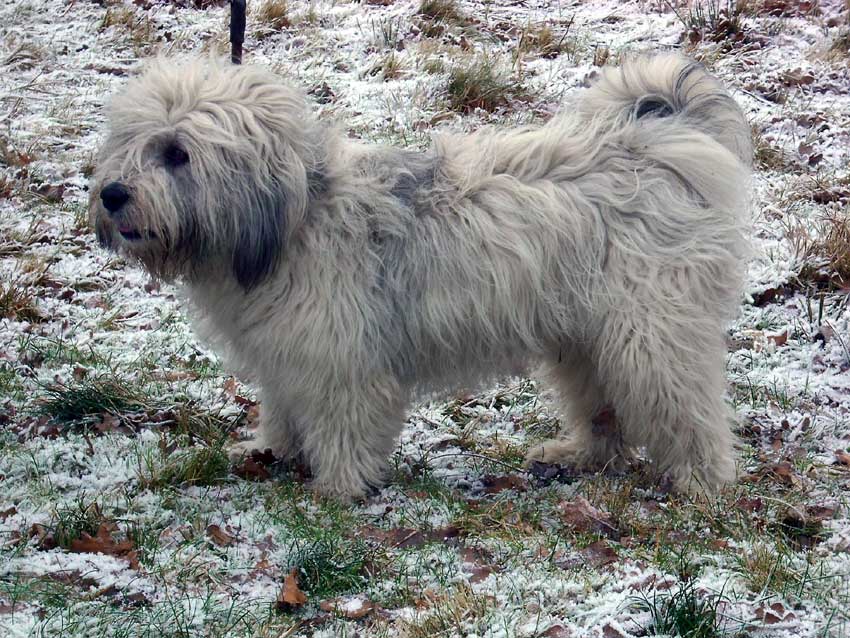 Mitte Januar 2009 - Wanda