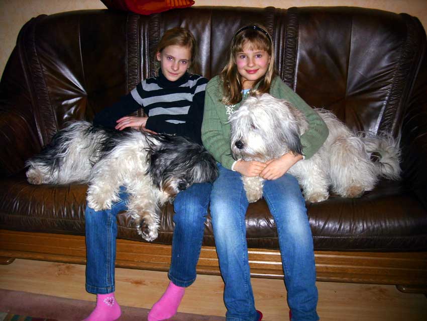 Mitte Januar 2009 - Kuscheltiere