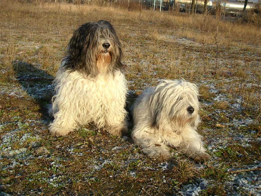 Silvestervormittag 2008/2009 Aschi und Wanda