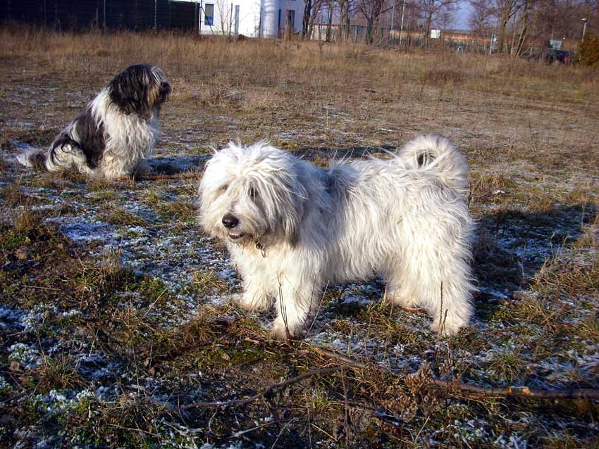 Silvestervormittag 2008/2009 Aschi und Wanda