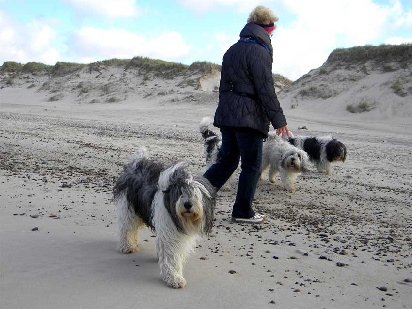 Mitte Oktober 2010 - D�nemarkurlaub