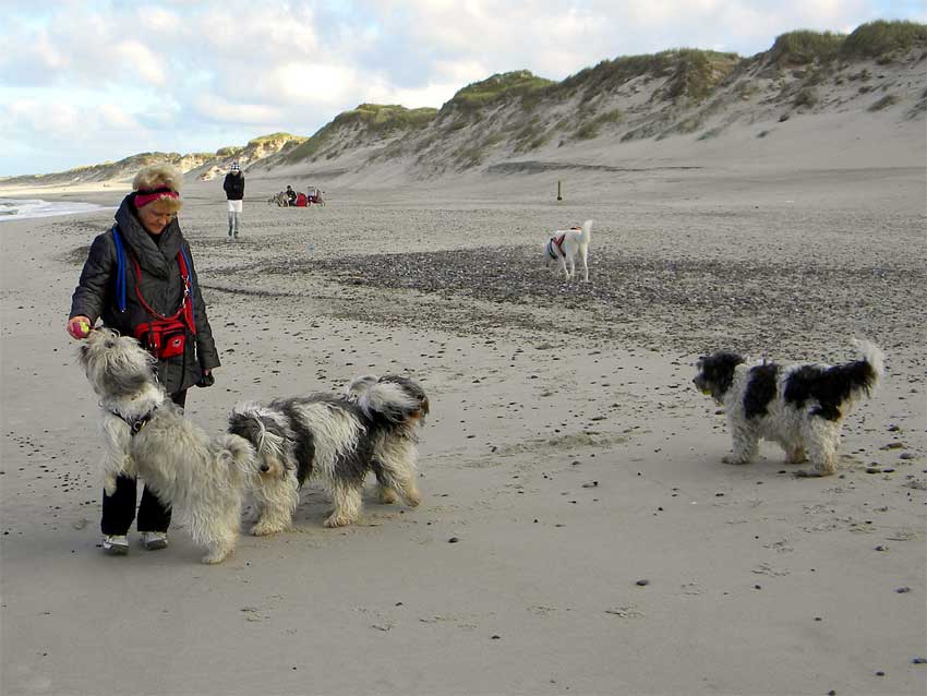 Mitte Oktober 2010 - D�nemarkurlaub