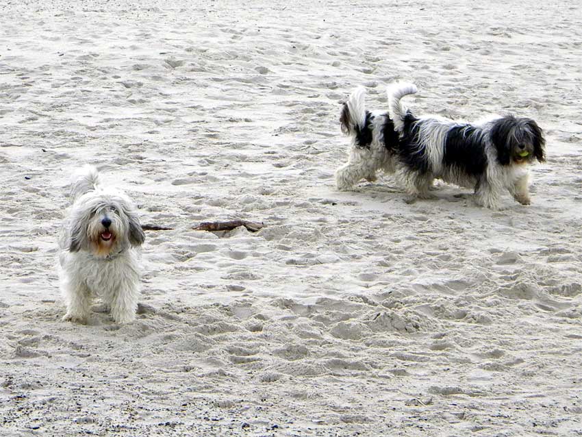 Mitte Oktober 2010 - D�nemarkurlaub