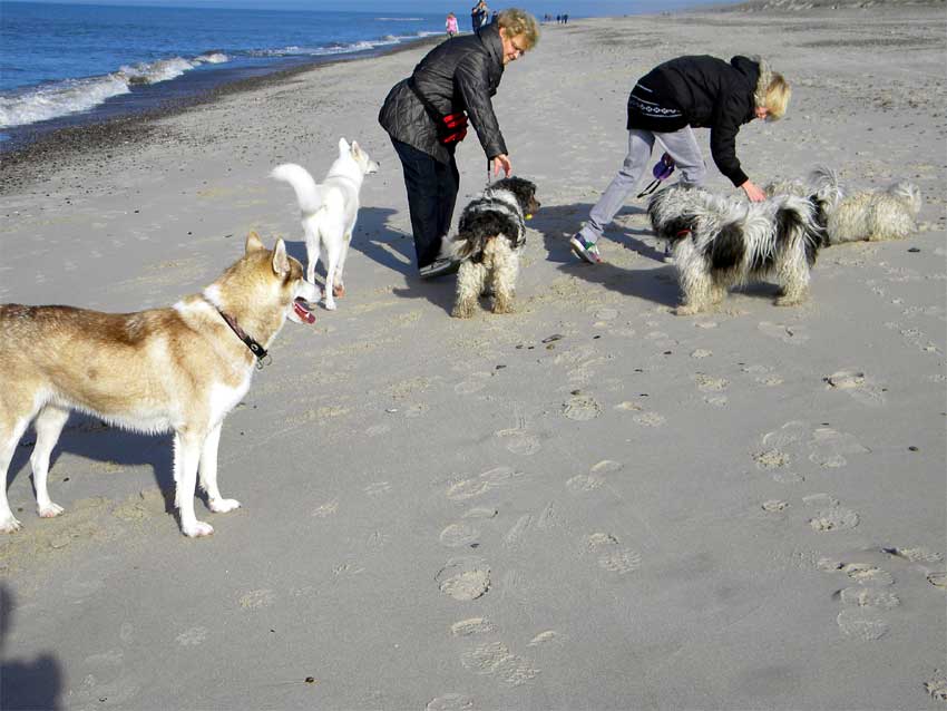 Mitte Oktober 2010 - D�nemarkurlaub