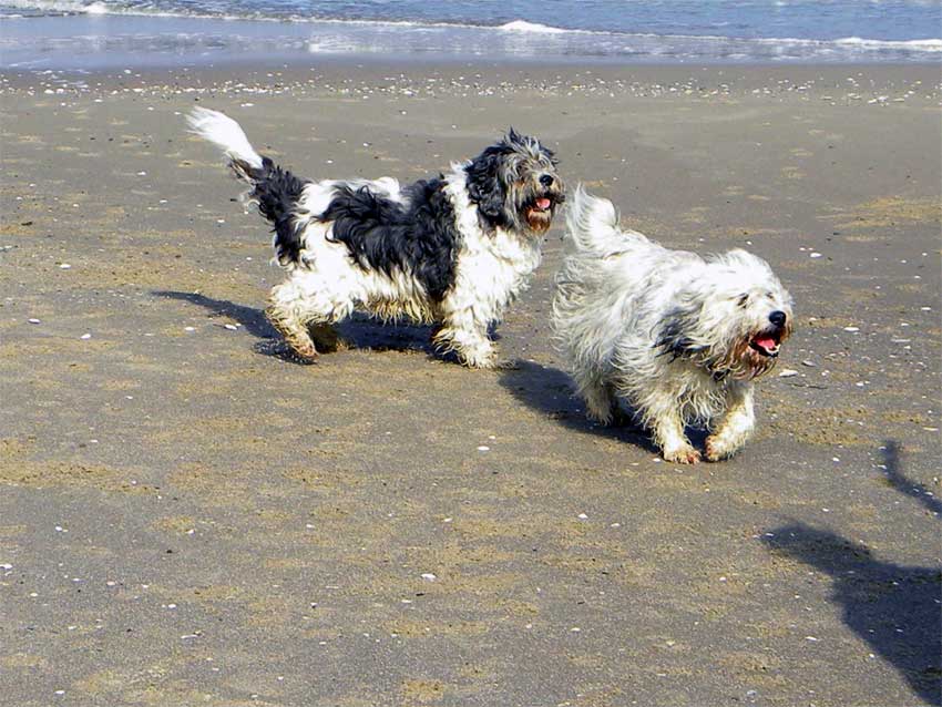 Anfang Oktober 2010 - Usedom