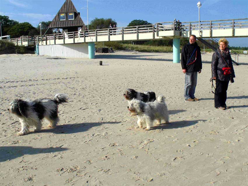 Anfang Oktober 2010 - Usedom