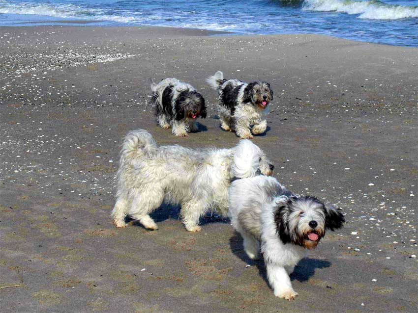 Anfang Oktober 2010 - Usedom