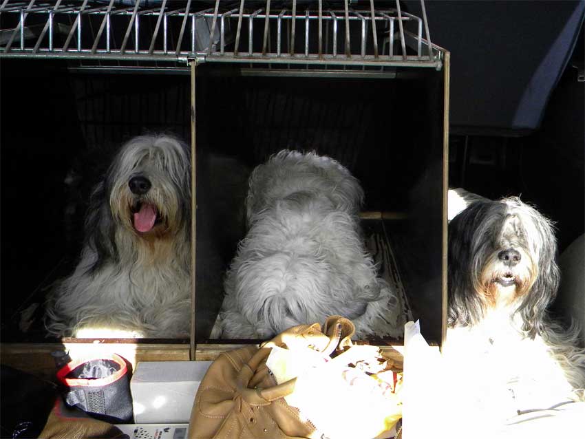 April 2011 - Wir sitzen mal wieder im Auto!