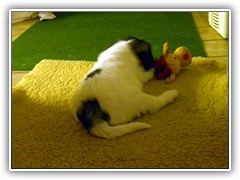 DSCN4071