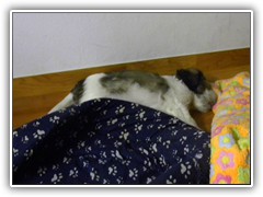 DSCN4078