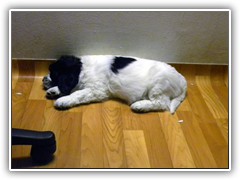 DSCN4079