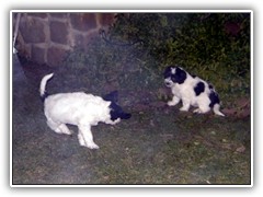 DSCN4106