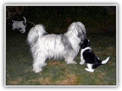 DSCN4107