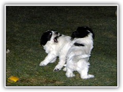 DSCN4118
