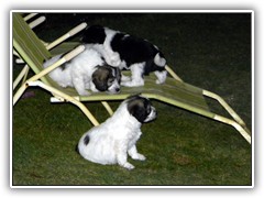 DSCN4134
