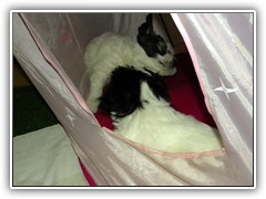 DSCN4138