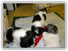 DSCN4142