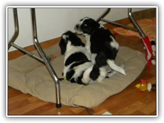 DSCN4149