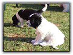 IMG_6568