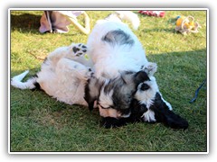 IMG_6592
