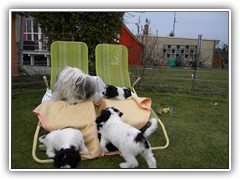 DSCN4195